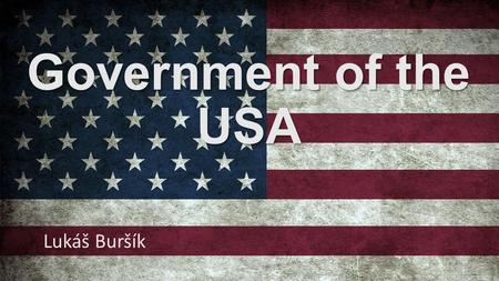 Government of the USA Lukáš Buršík.