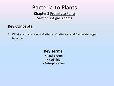 Chapter 3 Protists to Fungi