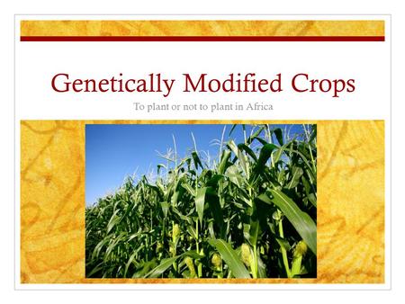 Genetically Modified Crops To plant or not to plant in Africa.