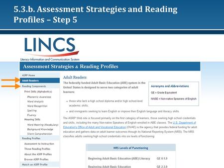 5.3.b. Assessment Strategies and Reading Profiles – Step 5.