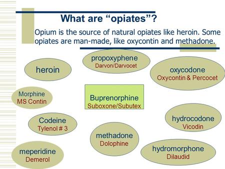 What are “opiates”? heroin Morphine MS Contin oxycodone Oxycontin & Percocet hydrocodone Vicodin Codeine Tylenol # 3 hydromorphone Dilaudid meperidine.