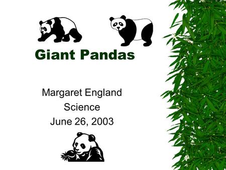 Giant Pandas Margaret England Science June 26, 2003.