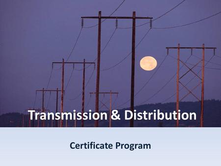 Transmission & Distribution
