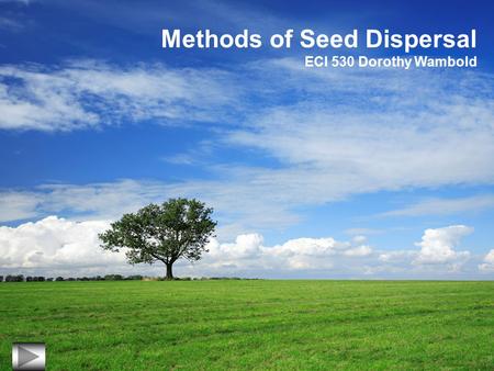 Methods of Seed Dispersal