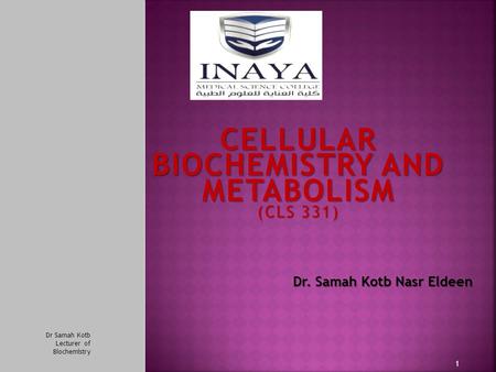 CELLULAR BIOCHEMISTRY AND METABOLISM (CLS 331) Dr. Samah Kotb Nasr Eldeen Dr. Samah Kotb Nasr Eldeen 1 Dr Samah Kotb Lecturer of Biochemistry.