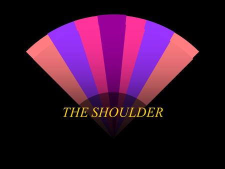 THE SHOULDER.