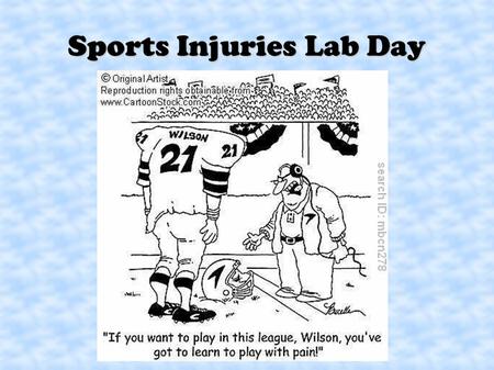 Sports Injuries Lab Day