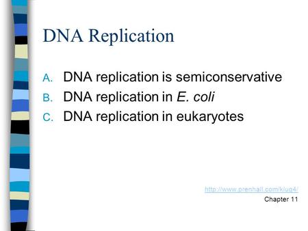 DNA Replication A. DNA replication is semiconservative B. DNA replication in E. coli C. DNA replication in eukaryotes  Chapter.