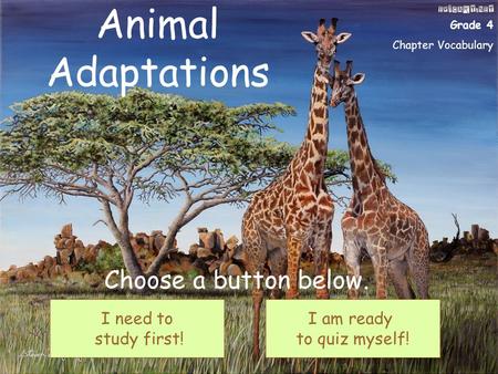 Animal Adaptations Choose a button below. I need to study first!
