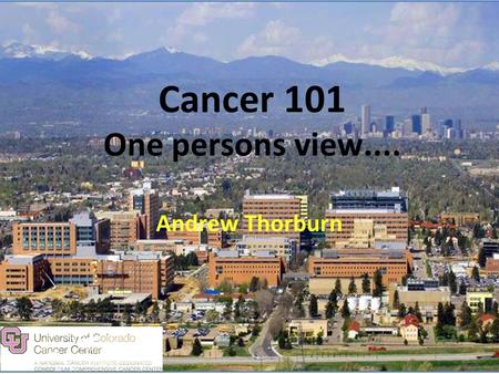 Cancer 101 One persons view....