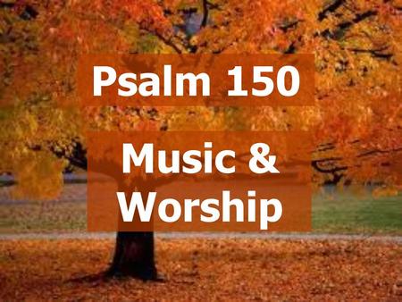 Psalm 150 Music & Worship. Psalm 150:1-6 How Should We Worship?
