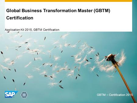 Global Business Transformation Master (GBTM) Certification