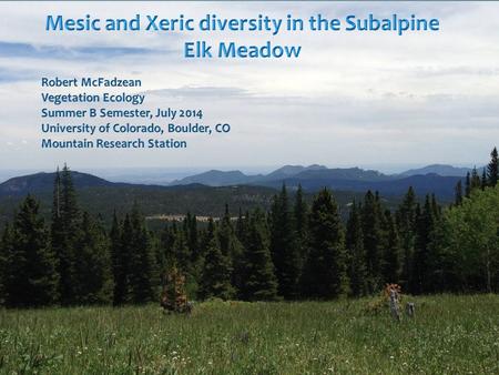 Introduction Subalpine meadows play a crucial role in species diversity, supporting many endangered species of plant and wildlife. Subalpine meadows play.