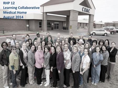RHP 12 Learning Collaborative Medical Home August 2014.