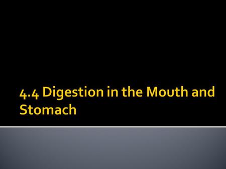 4.4 Digestion in the Mouth and Stomach