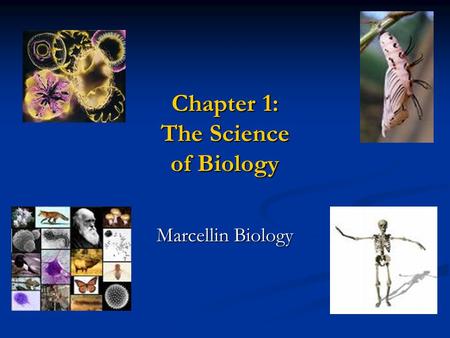 Chapter 1: The Science of Biology Marcellin Biology.