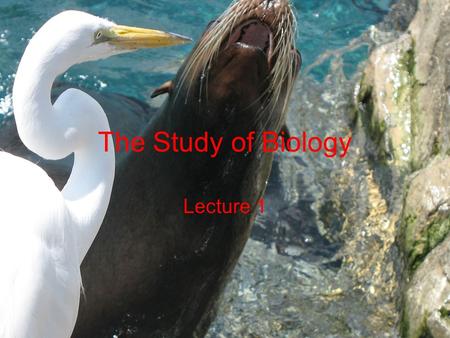 The Study of Biology Lecture 1.