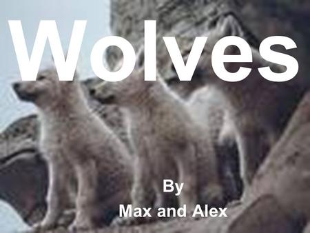 Wolves By Max and Alex.