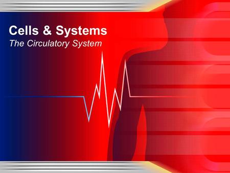 Cells & Systems The Circulatory System