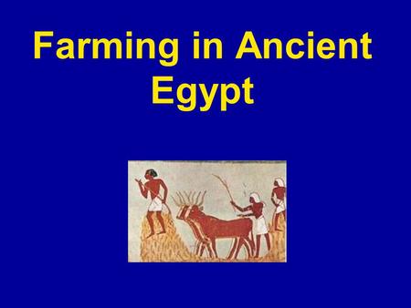 Farming in Ancient Egypt. What crops did the Egyptian Farmers grow? Egyptians grew crops such as wheat, barley, vegetables, figs, melons, pomegranates.