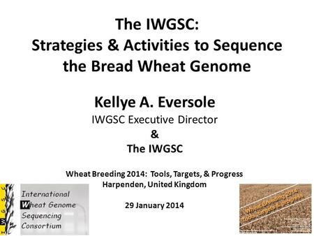 The IWGSC: Strategies & Activities to Sequence the Bread Wheat Genome Kellye A. Eversole IWGSC Executive Director & The IWGSC Wheat Breeding 2014: Tools,
