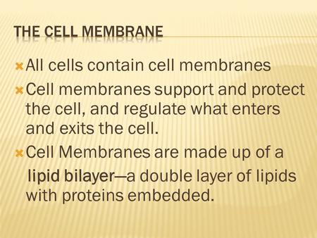  All cells contain cell membranes  Cell membranes support and protect the cell, and regulate what enters and exits the cell.  Cell Membranes are made.