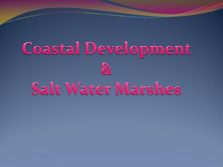 What is Coastal Development? Coastal Development is the development of houses, hotels, or any other form of man made structures built along coast lines.
