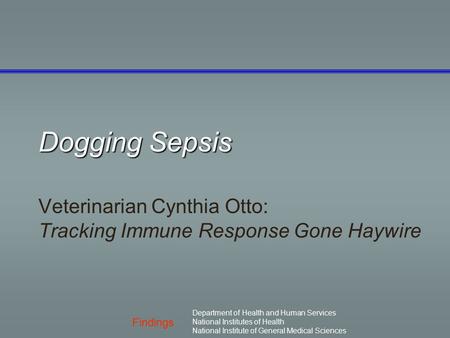 Veterinarian Cynthia Otto: Tracking Immune Response Gone Haywire
