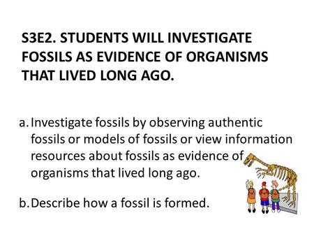 A.Investigate fossils by observing authentic fossils or models of fossils or view information resources about fossils as evidence of organisms that lived.