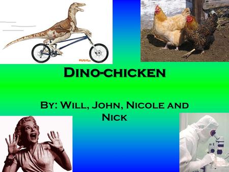 Dino-chicken By: Will, John, Nicole and Nick Back in the day… Mesozoic era Dinosaurs were dominant life forms on planet Earth Divided into two categories.