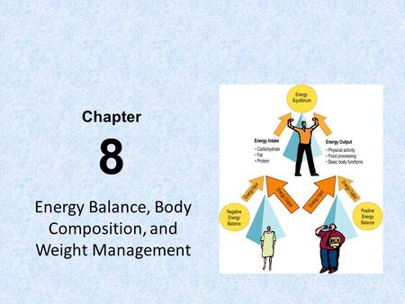 Energy Balance, Body Composition, and Weight Management