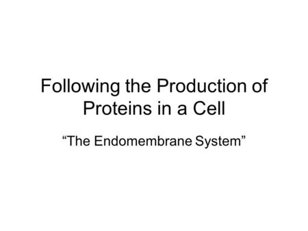 Following the Production of Proteins in a Cell