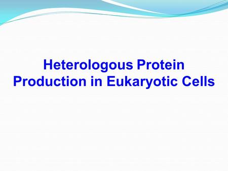 Heterologous Protein Production in Eukaryotic Cells