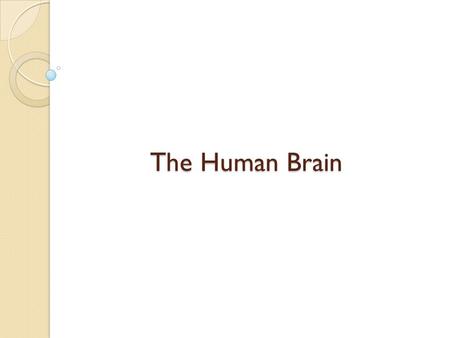 The Human Brain. The human brain contains from 50- 100 thousand million (10 11 ) cells called neurons.