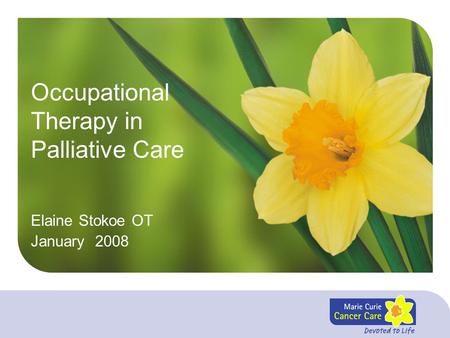 Occupational Therapy in Palliative Care Elaine Stokoe OT January 2008.