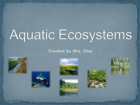 Aquatic Ecosystems Created by Mrs. Oles.
