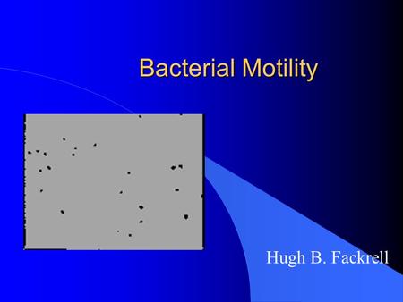 Bacterial Motility Hugh B. Fackrell. 2 8/5/2015 Presentation Outline l Bacterial Flagella l Location l Function l Structure l Bacterial vs eukaryotic.
