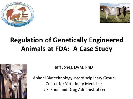 Jeff Jones, DVM, PhD Animal Biotechnology Interdisciplinary Group Center for Veterinary Medicine U.S. Food and Drug Administration Regulation of Genetically.