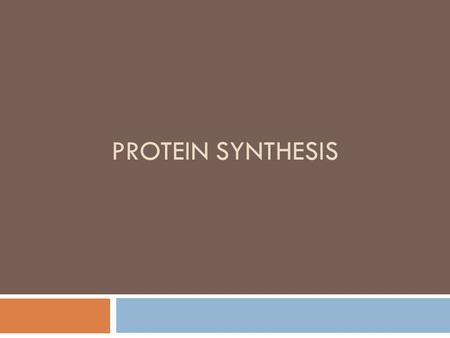 PROTEIN SYNTHESIS. DNA RNA Protein Scientists call this the: Central Dogma of Biology!