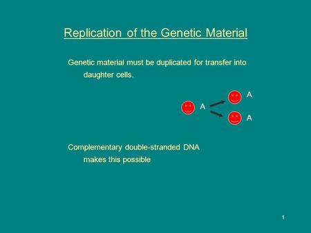 1 Replication of the Genetic Material Genetic material must be duplicated for transfer into daughter cells. Complementary double-stranded DNA makes this.