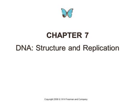DNA: Structure and Replication