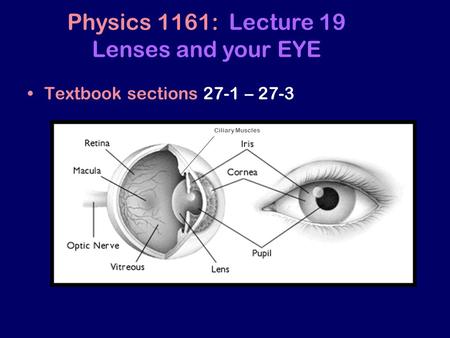 Physics 1161: Lecture 19 Lenses and your EYE