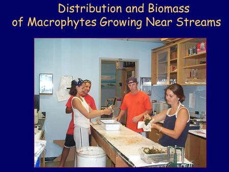 Distribution and Biomass of Macrophytes Growing Near Streams.