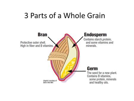 3 Parts of a Whole Grain.