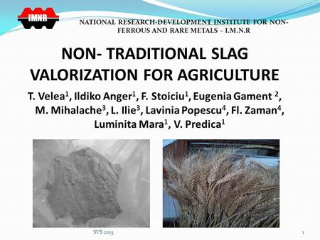 NON- TRADITIONAL SLAG VALORIZATION FOR AGRICULTURE T. Velea 1, Ildiko Anger 1, F. Stoiciu 1, Eugenia Gament 2, M. Mihalache 3, L. Ilie 3, Lavinia Popescu.