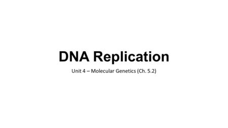 Unit 4 – Molecular Genetics (Ch. 5.2)