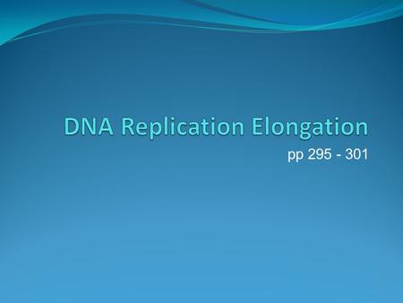 Pp 295 - 301. 2. Replication Elongation DNA polymerase – enzyme which does what? In what direction? What is the main version responsible for replication?