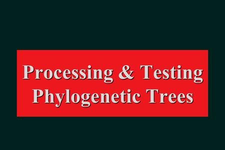 Processing & Testing Phylogenetic Trees. Rooting.