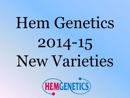 Hem Genetics 2014-15 New Varieties. Hem Genetics New Varieties 2013/14 3 new Low Grow items, 2 Mambo *GP* Petunias, and 1 Nano Geranium variety A new.