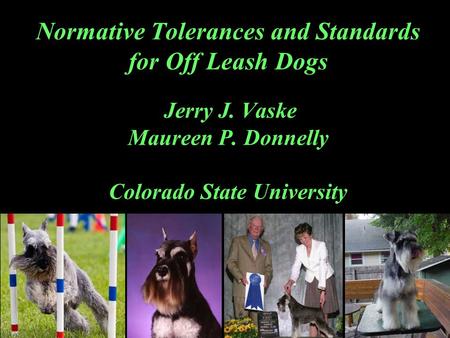 Normative Tolerances and Standards for Off Leash Dogs Jerry J. Vaske Maureen P. Donnelly Colorado State University.